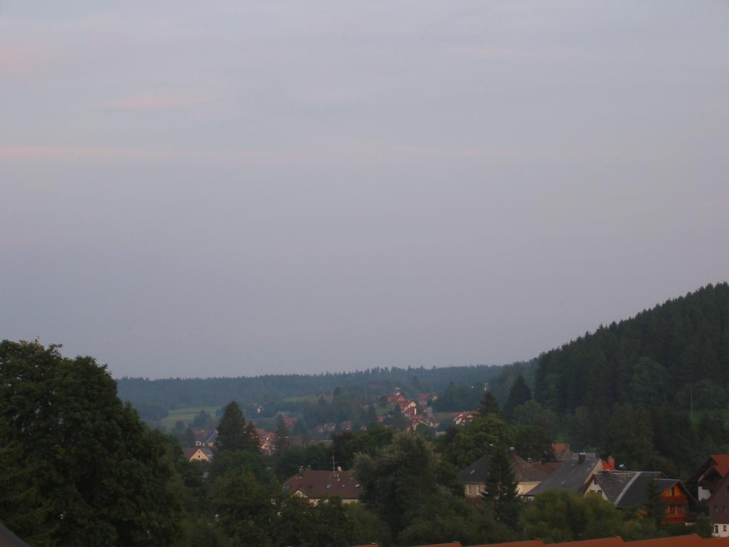 Appartement Urseetalblick à Lenzkirch Extérieur photo